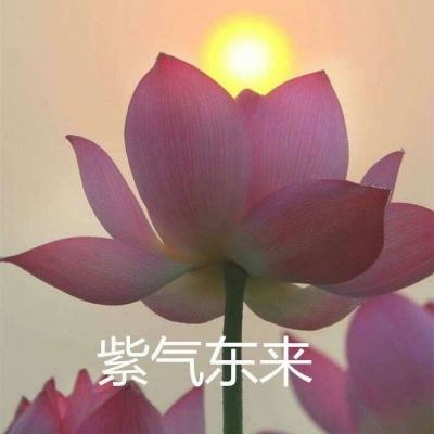 唐门侠客令手游(暂未上线)v1.0 安卓版